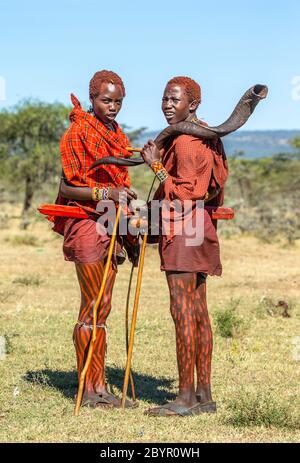 Zwei junge Masai-Krieger in traditioneller Kleidung stehen in der Savanne und sprechen miteinander. Man hält ein rituelles Horn. Tansania, Ostafrika. Stockfoto