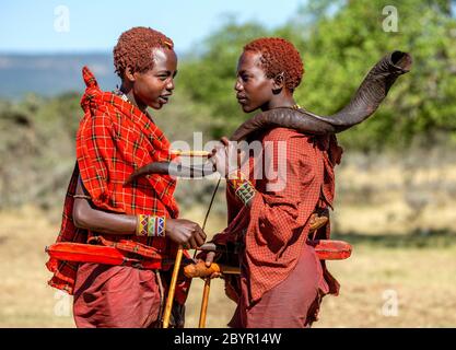 Zwei junge Masai-Krieger in traditioneller Kleidung stehen in der Savanne und sprechen miteinander. Man hält ein rituelles Horn. Tansania, Ostafrika. Stockfoto