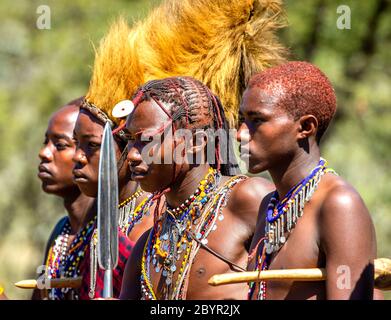 Eine Gruppe junger Masai-Krieger steht in der Savanne in traditioneller Kleidung mit Speeren. Tansania, Ostafrika, 12. August 2018. Stockfoto