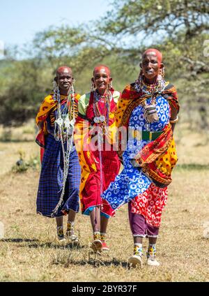 Masai Frauen in traditioneller Kleidung wandern in der Savanne. Tansania, Ostafrika, 12. August 2018. Stockfoto