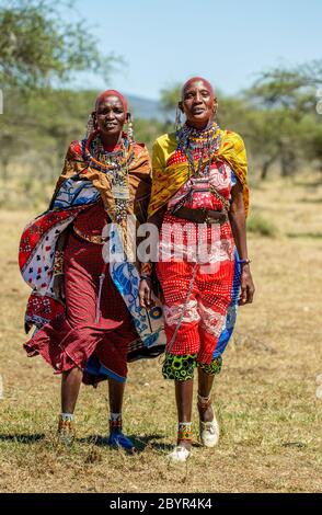 Masai Frauen in traditioneller Kleidung wandern in der Savanne. Tansania, Ostafrika, 12. August 2018. Stockfoto