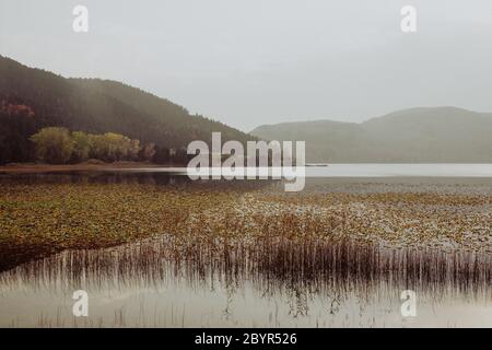 Wunderschöne Landschaft im Herbst mit Bergen, Bäumen und Schilf, die sich wie ein Spiegel auf einem ruhigen See spiegeln, Reflexion auf Abant Lake, Bolu, TÜRKEI Stockfoto