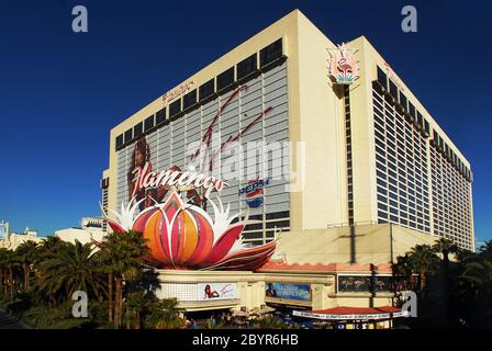 Flamingo Hotel Las Vegas 214 Hotel und die wichtigsten Orte in Las Vegas der schönste Ort in Las Vegas Stockfoto