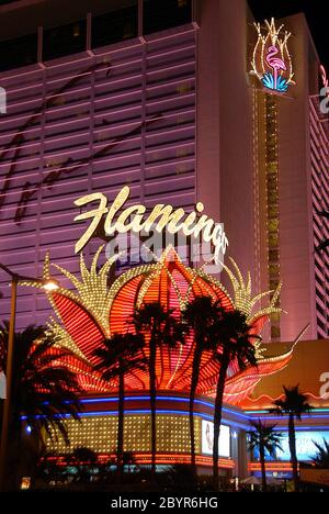 Flamingo Hotel Las Vegas 215 Hotel und die wichtigsten Orte in Las Vegas der schönste Ort in Las Vegas Stockfoto