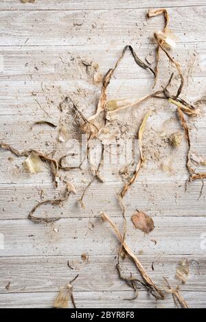 Ein kunstvoll arrangierte generische flache Hintergrund Textur Holzpaneel Layout mit einer Mischung aus Sand und organischen Substanz in natürlichen erdigen Farbtönen und Tönen. Stockfoto