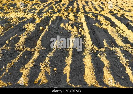 Bagger Spuren auf dem Boden Textur. Schlamm Boden Erde Boden Spuren markiert Markierungen trockene Oberflächenstruktur. Stockfoto