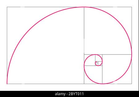 Goldenes Verhältnis geometrisches Konzept. Rosa Fibonacci Spirale. Vektorgrafik. Stock Vektor