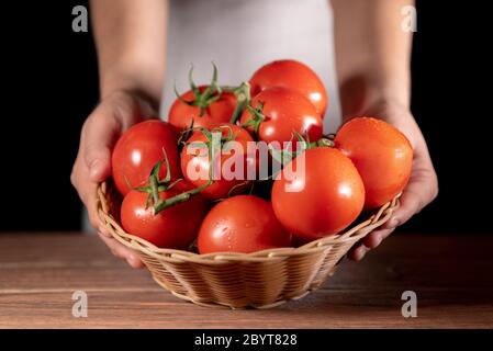 Braun gewebter Korb gefüllt mit frisch geernteten frischen roten Tomaten von einer Person in einem weißen Anzug gehalten Stockfoto