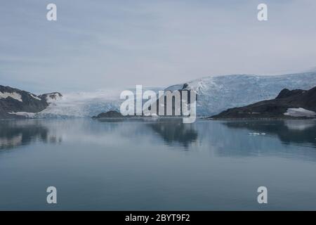 Ein Leckerbisse in der Admiralty Bay auf King George Island in den South Shetland Islands, Antarktis. Stockfoto