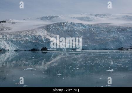 Ein Leckerbisse in der Admiralty Bay auf King George Island in den South Shetland Islands, Antarktis. Stockfoto