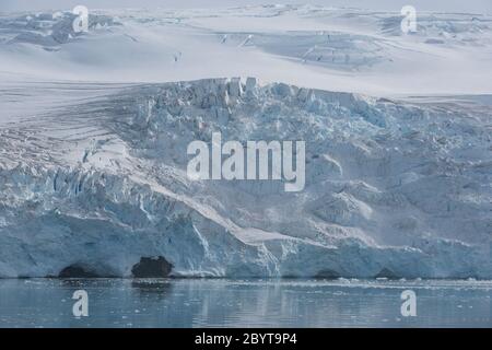 Ein Leckerbisse in der Admiralty Bay auf King George Island in den South Shetland Islands, Antarktis. Stockfoto