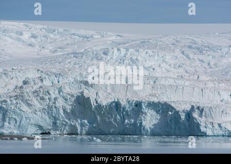 Ein Leckerbisse in der Admiralty Bay auf King George Island in den South Shetland Islands, Antarktis. Stockfoto