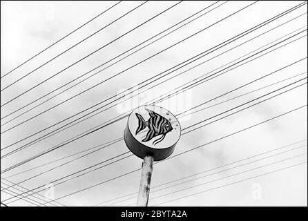 Ein tropischer Fisch auf einem Schild für ein Tiergeschäft in Culver City, CA, setzte sich gegen elektrische Leitungen und den Himmel in einem schwarz-weißen Stadtbild aus den 1970er Jahren. Stockfoto