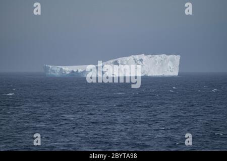 Ein großer tabellarischer Eisberg in der Bransfield-Straße, zwischen den South Shetland Islands und der Antarktischen Halbinsel, Antarktis Stockfoto