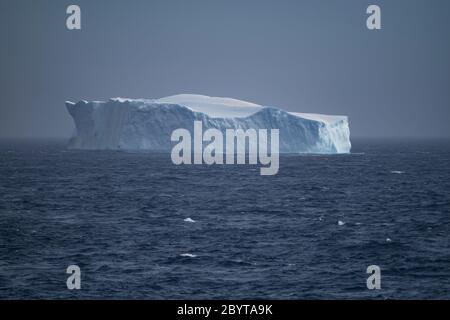 Ein großer tabellarischer Eisberg in der Bransfield-Straße, zwischen den South Shetland Islands und der Antarktischen Halbinsel, Antarktis Stockfoto