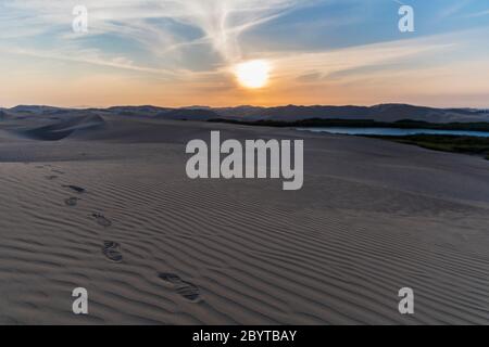 Fußspuren in der Wüste, eine Oase, keine Menschen und schönste Sonnenuntergang Stockfoto