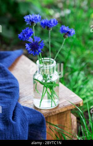 Stillleben von blauen Kornblumen in einer Glasvase und Draperien auf einem Holzhocker. Stockfoto