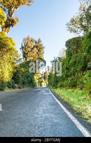 Mount Egmont.in Entfernung entlang der Straße durch Neuseeland einheimischen Busch am Fuße des Berges in Taranaki Neuseeland. Stockfoto