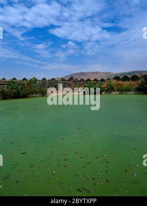 Alibag India Kolaba Fort (Murud-Janjira) Innentank Stagnierendes Wasser - Grüne Algen Stockfoto