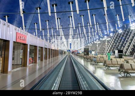 Shanghai, China - März 2019: Check-in-Schalter von China Eastern Airlines im Flughafen Shanghai Pudong. Stockfoto