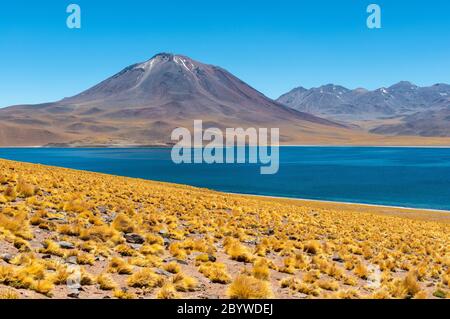 Die Miscanti Lagune in den Anden, Atacama Wüste, Chile. Stockfoto