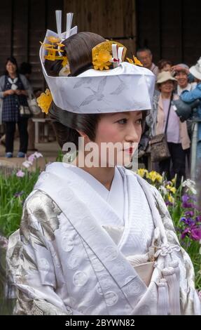 Japanische Braut in einem traditionellen weißen Kimono beim Suigo Itako Iris Festival, Ibaraki, Japan Stockfoto