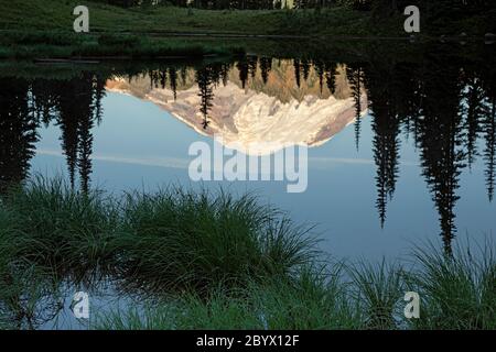 WA16643-00...WASHINGTON - Mount Rainier spiegelt sich im Tipsoo Lake im Mount Rainier National Park. Stockfoto