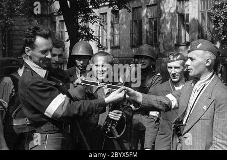 Warschauer Aufstand: Capitan Cyprian Odorkiewicz 'Krybar' kämperin des Regiments 'Krybar' (rechts) bei der Inspektion eines gefangenen deutschen Panzertransporters ('Szary Wilk') in den Gärten von Okólnik. Wacław Jastrzębowski 'ASPIRA' präsentiert die Insignien der 5. SS-Panzergrenadier-Division 'Wiking'. In der Mitte ein Aufständischer mit deutschen MP40 Maschinenpistole ca. 1944 Stockfoto