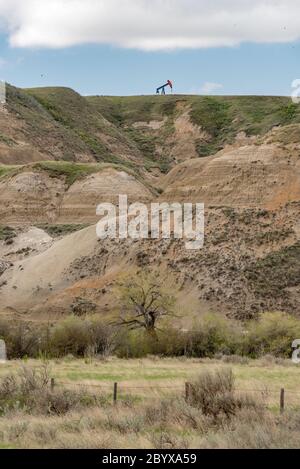 Badlands auf der Westseite des Red Deer River bei Dorothy. Südöstlich von Drumheller, Alberta, Kanada im Frühling; vertikale Ausrichtung. Stockfoto