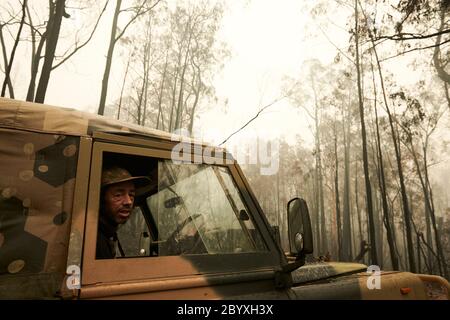 Jason Nicholson arbeitet für Susan Pulis, eine Tierschützerin und Gründerin des Raymond Island Koala and Wildlife Shelter, auf Raymond Island, Victoria, Australien am montag, den 6. Januar 2020 Stockfoto