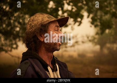 Jason Nicholson arbeitet für Susan Pulis, eine Tierschützerin und Gründerin des Raymond Island Koala and Wildlife Shelter, auf Raymond Island, Victoria, Australien am montag, den 6. Januar 2020 Stockfoto