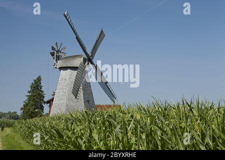 Windmühle Bierde (Petershagen) Stockfoto