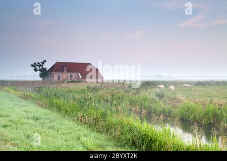 Gemütliches Bauernhaus in nebligen Morgen Stockfoto