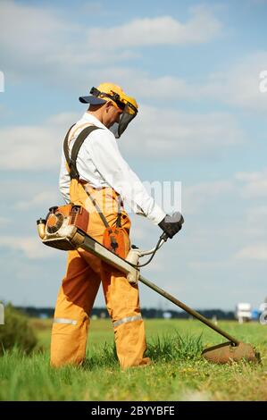 Der Rasentrimmer funktioniert Stockfoto