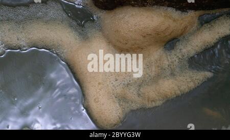 Scum Luftblasen schwimmt auf einer Fläche von verschmutztem Wasser Stockfoto