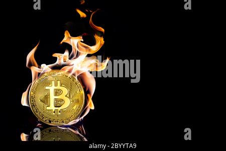 Eine verbrannte goldene Bitcoin auf schwarzem Hintergrund mit Reflexion und Kopierraum Stockfoto