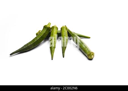 Frische junge Okra oder Marienkäfer isoliert auf weißem Hintergrund Stockfoto