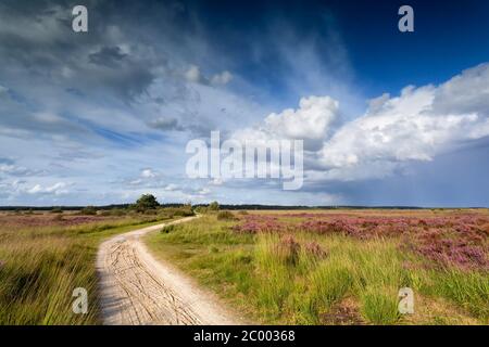 Weg durch Wiesen und blauen Himmel Stockfoto