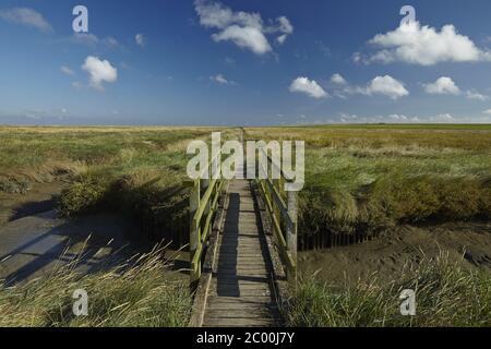 Westerhever - Salzwiesen mit Steg Stockfoto