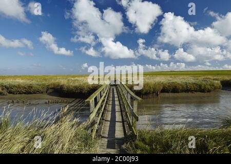 Westerhever - Salzwiesen mit Steg Stockfoto