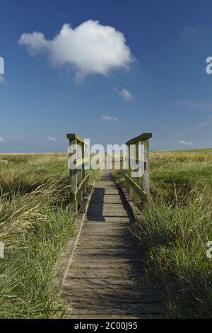 Westerhever - Salzwiesen mit Steg Stockfoto