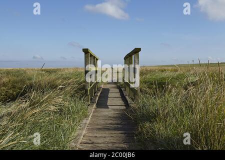 Westerhever - Salzwiesen mit Steg Stockfoto
