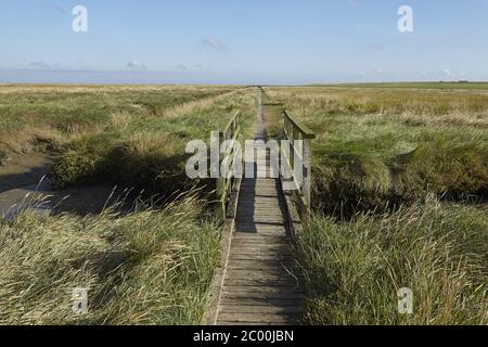 Westerhever - Salzwiesen mit Steg Stockfoto