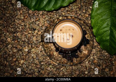 Eine Tasse weißen Kaffee auf den Kaffeebohnen Stockfoto