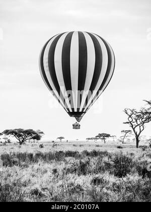 Heißluftballon landet in der afrikanischen Savanne. Schwarzweiß-Bild. Stockfoto