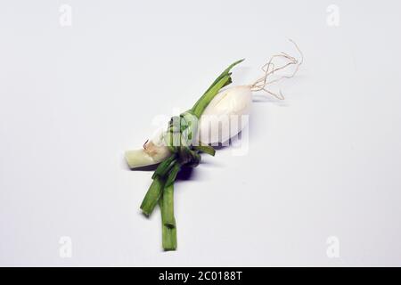Frische Grüne Frühlingszwiebel Mit Wurzeln Auf Einem Isolierten Weißen Hintergrund Stockfoto