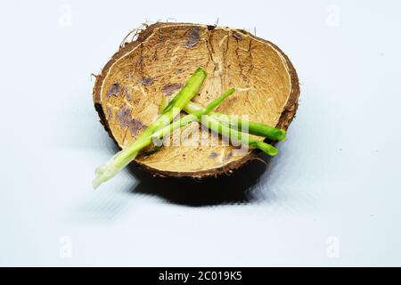 Frische Grüne Frühlingszwiebel Mit Wurzeln Auf Einem Isolierten Weißen Hintergrund Stockfoto