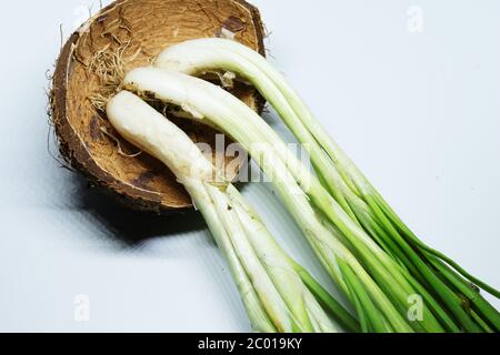 Frische Grüne Frühlingszwiebel Mit Wurzeln Auf Einem Isolierten Weißen Hintergrund Stockfoto