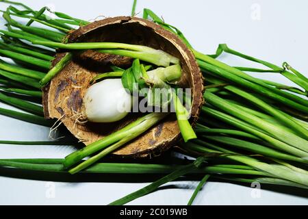 Frische Grüne Frühlingszwiebel Mit Wurzeln Auf Einem Isolierten Weißen Hintergrund Stockfoto