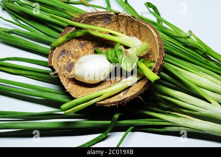 Frische Grüne Frühlingszwiebel Mit Wurzeln Auf Einem Isolierten Weißen Hintergrund Stockfoto